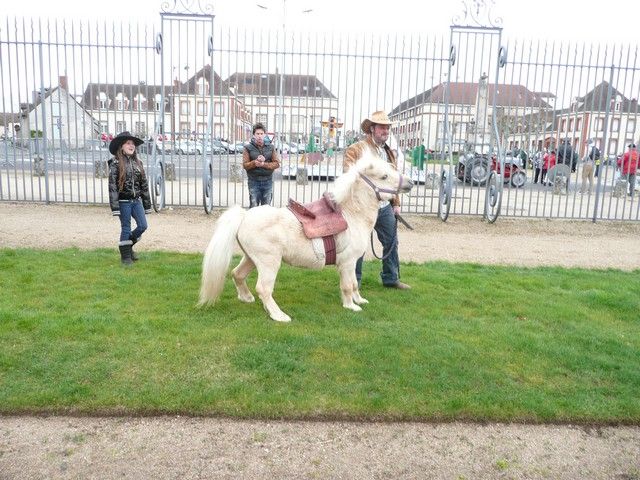 carnval 17 mars 2013 (21).jpg